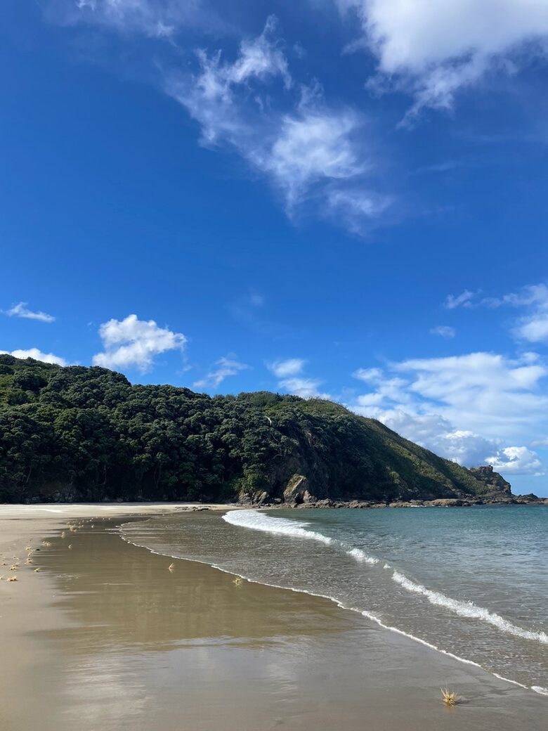 Forest Estate Retreat Minutes from Tara iti and Te Arai Links Golf - Te Arai, New Zealand