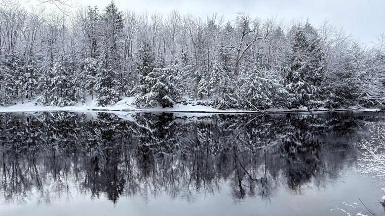 Muskoka Riverfront Retreat Near Bracebridge - Bracebridge, Canada