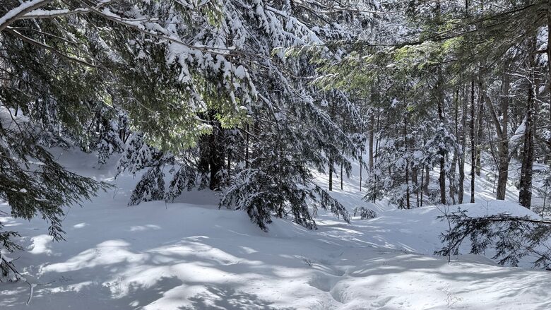 Muskoka Riverfront Retreat Near Bracebridge - Bracebridge, Canada