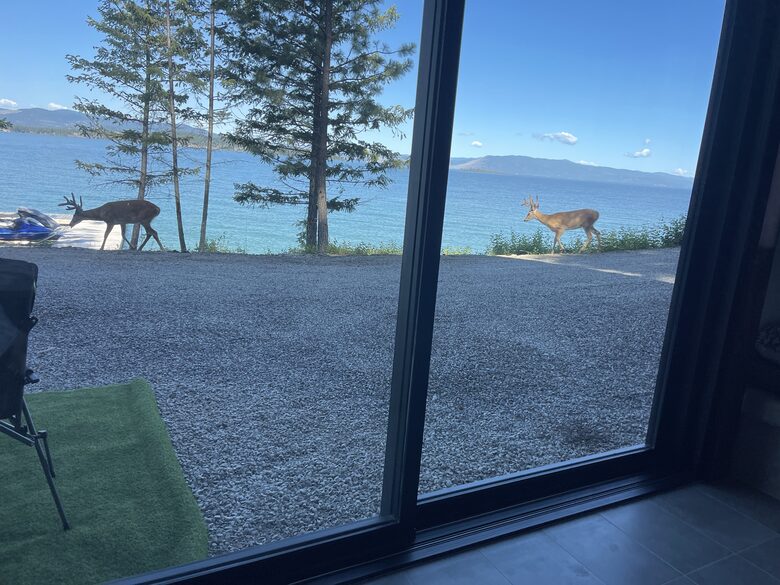 View from main level with deer