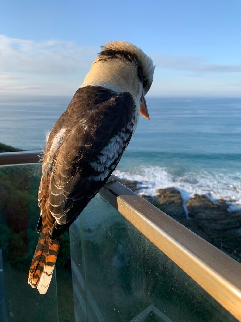 360° Ocean Views Above the Great Ocean Road - Wye River, Australia