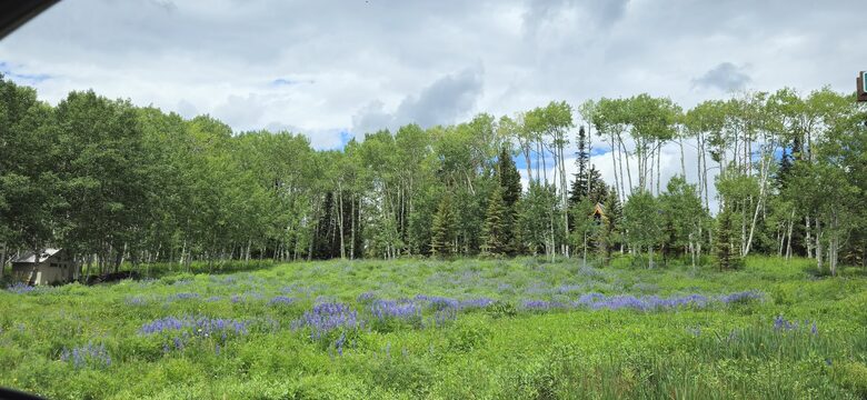 Crested Butte Mountain Retreat Near Meridian Lake - Crested Butte, Colorado