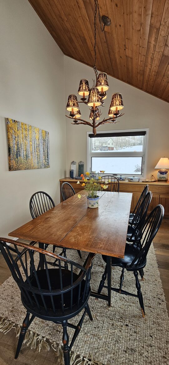 Crested Butte Mountain Retreat Near Meridian Lake - Crested Butte, Colorado