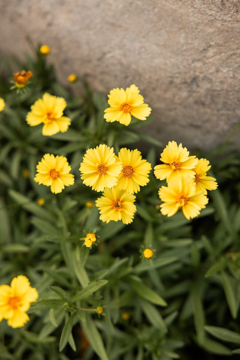 Modern Farmhouse Retreat with Waterfall Views in the Catskills - Kerhonkson, New York
