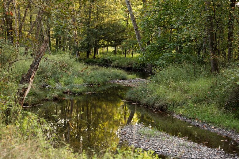 Modern Farmhouse Retreat with Waterfall Views in the Catskills - Kerhonkson, New York