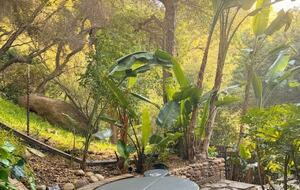 Hot Tub amid the trees
