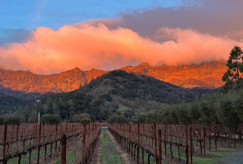 Villa Calistoga in Napa Valley Wine Country - Calistoga, California