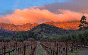 Villa Calistoga in Napa Valley Wine Country - Calistoga, California