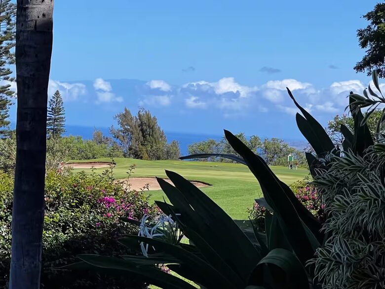 Ocean View Escape in Waikoloa Village - Waikoloa, Hawaii
