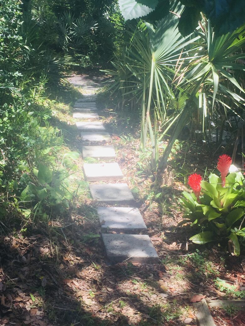Path leads to shaded trail to the beach!