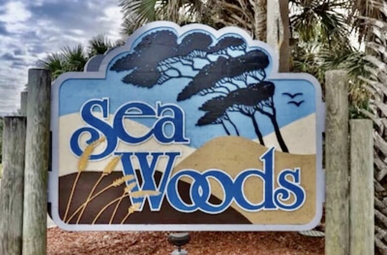 Relaxed Beach House in Sea Woods Community - New Smyrna Beach, Florida