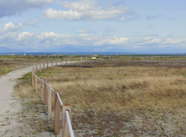 A Coastal Beach House In Boundary Bay, Delta - Delta, Canada