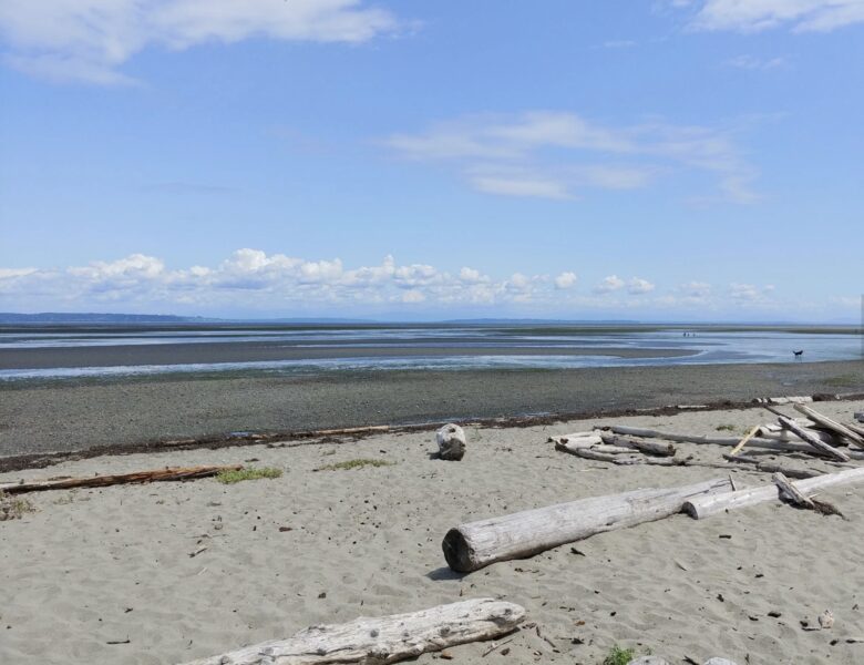 A Coastal Beach House In Boundary Bay, Delta - Delta, Canada