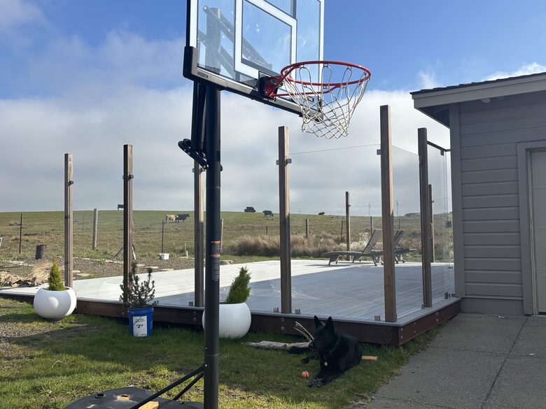 Basketball hoop in driveway