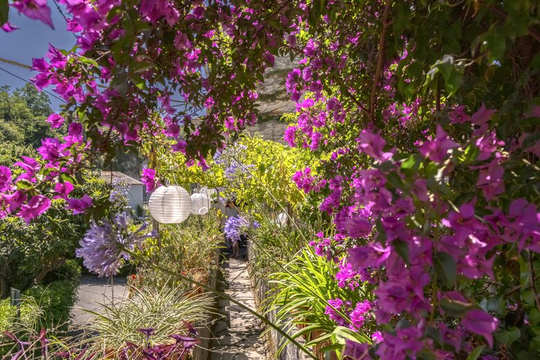 A Timeless Legacy on the Levanto Walls - Levanto, Italy