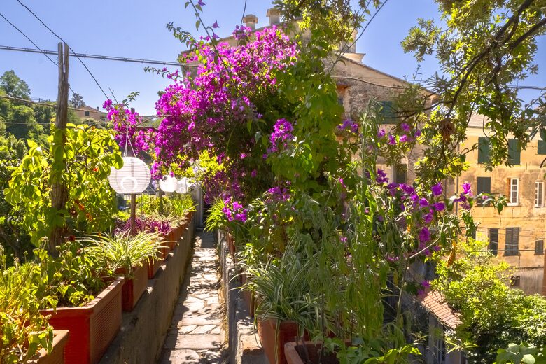A Timeless Legacy on the Levanto Walls - Levanto, Italy