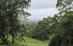 A Private 6-Acre Wellness & Event Retreat Near Berry - Bundewallah, Australia