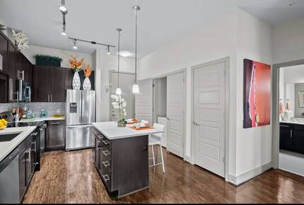 Contemporary City Retreat in Houston - Houston, Texas