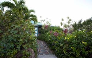 Sunset Watch - Caribbean Beachfront - Nail Bay, Virgin Islands, British