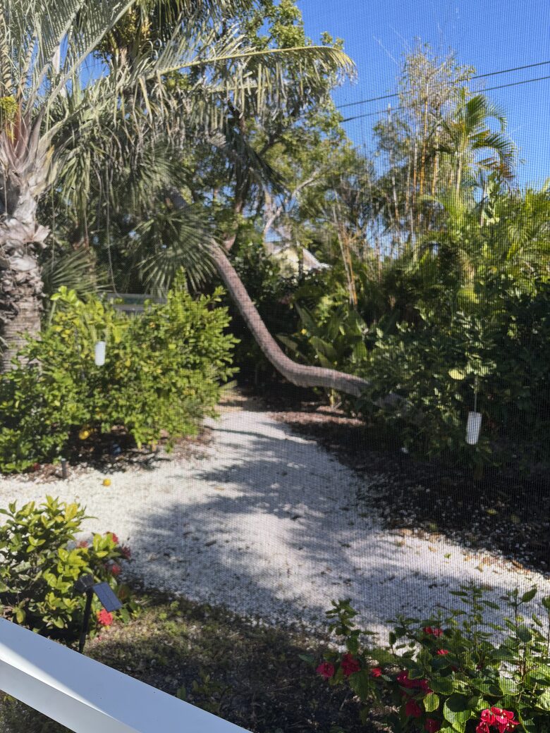 Magazine-Worthy Sanibel Retreat - Sanibel, Florida