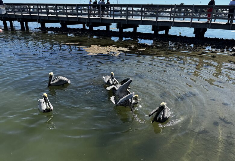 Rare 3 bed, 3 bath condo walkable to the Best Beach in Naples! - Naples, Florida