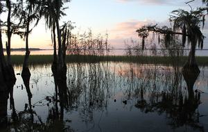 1920s Lake Cottage with Resort Amenities - Yalaha, Florida