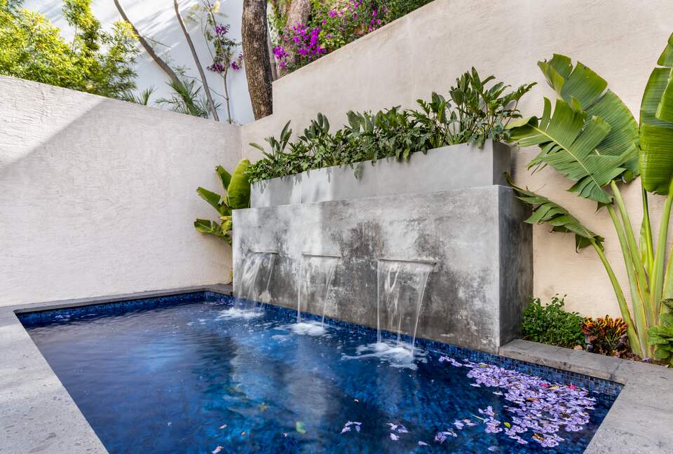 Heated pool with benches and jacarada blossoms!