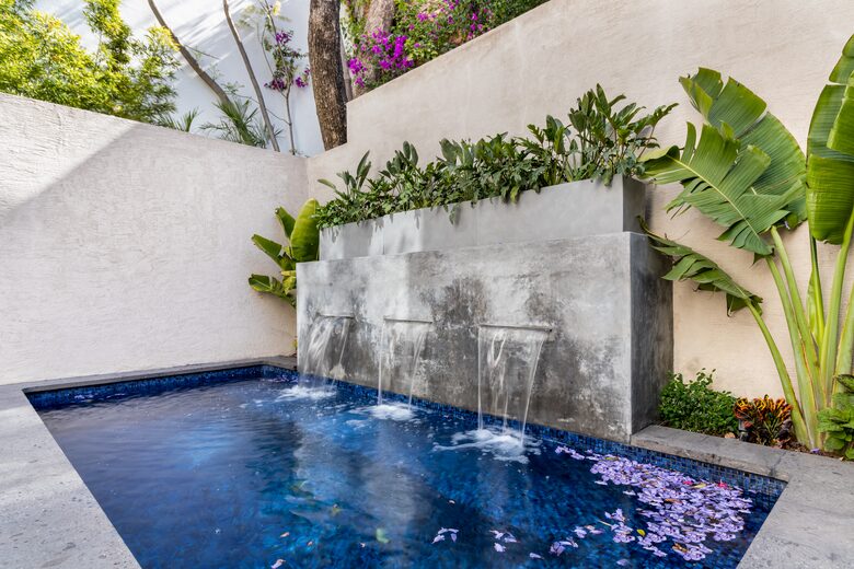 Heated pool with benches and jacarada blossoms!