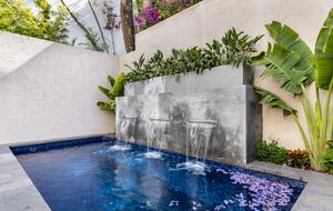 Heated pool with benches and jacarada blossoms!