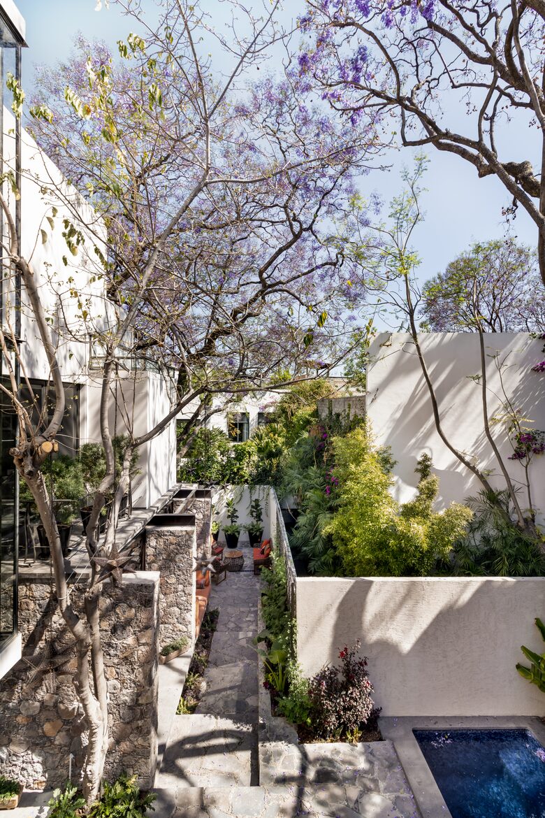 Jacaranda bloom season -- don't miss it!