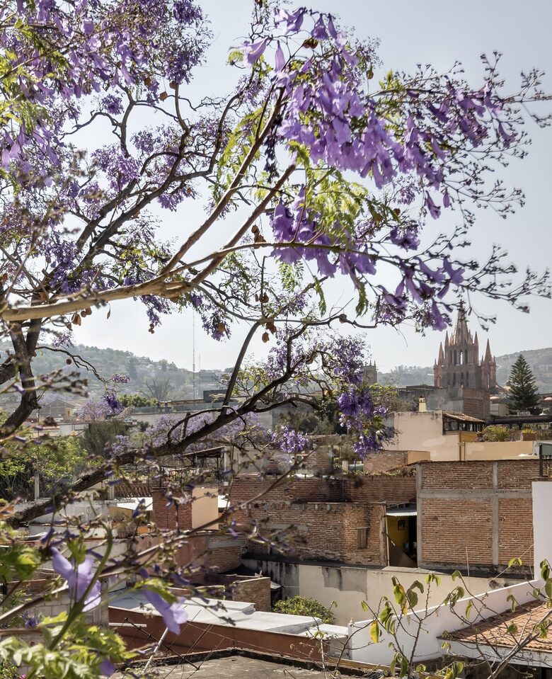 View from the roof deck