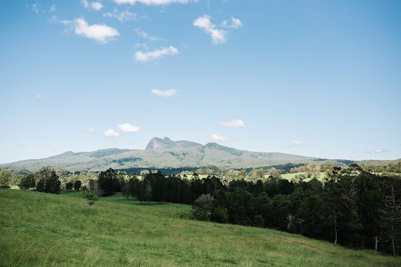 Khu nghỉ dưỡng Highfield Estate - Hai ngôi nhà tại vùng Border Ranges - Brays Creek, Úc