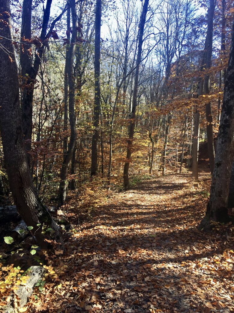 Luxury 3 BR Apartment in Traditional Alpine Ski Chalet - Klosters, Switzerland
