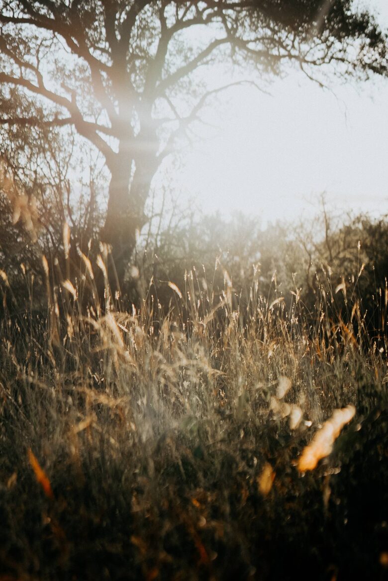 Refined Lowveld Living on a Wildlife Estate - Hoedspruit, South Africa