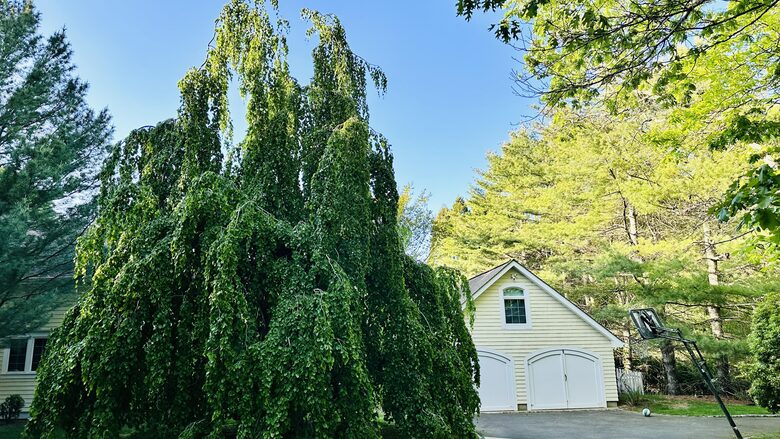 Modern Hamptons Retreat on 1 Acre Near Beach & Village - Westhampton, New York
