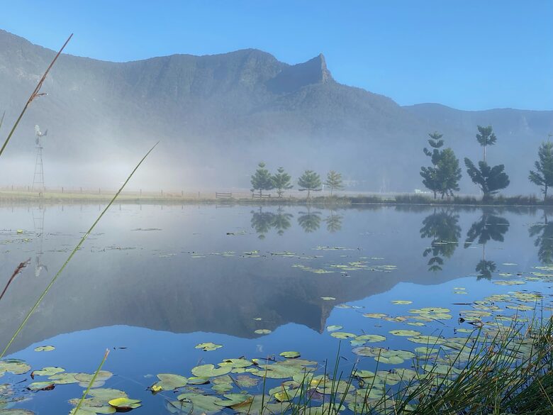 Khu nghỉ dưỡng Highfield Estate - Hai ngôi nhà tại vùng Border Ranges - Brays Creek, Úc