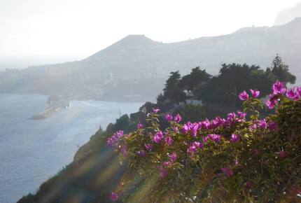 Refined Madeira Villa | Harbor and Mountain Scenery - Funchal, Portugal