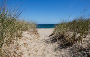 Sunrise at the Beach - Nantucket (Sconset), Massachusetts