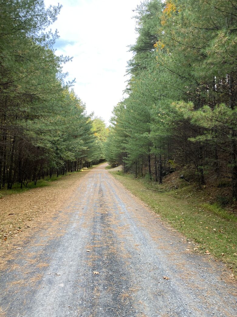Private Catskills Log Retreat Near Woodstock - Bearsville, New York