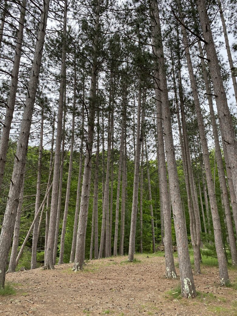 Private Catskills Log Retreat Near Woodstock - Bearsville, New York