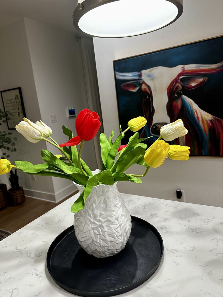 Modern Luxury Cozy 3 Kings & Big Gameroom in New Braunfels - New Braunfels, Texas