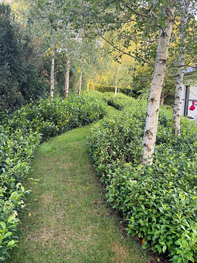 Berrima Estate with Pool, Sauna & Garden Retreat - Berrima, Australia