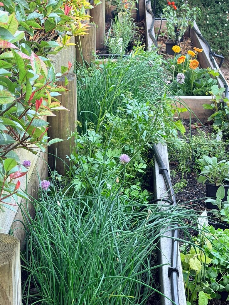 Berrima Estate with Pool, Sauna & Garden Retreat - Berrima, Australia