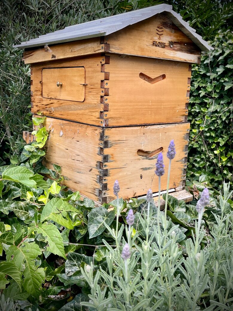 Berrima Estate with Pool, Sauna & Garden Retreat - Berrima, Australia