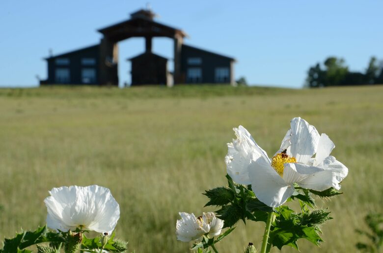 Circle M Ranch - Jewett, Texas