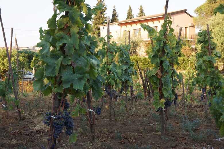 Sicilian Estate with Etna & Mediterranean Views - Acireale, Italy