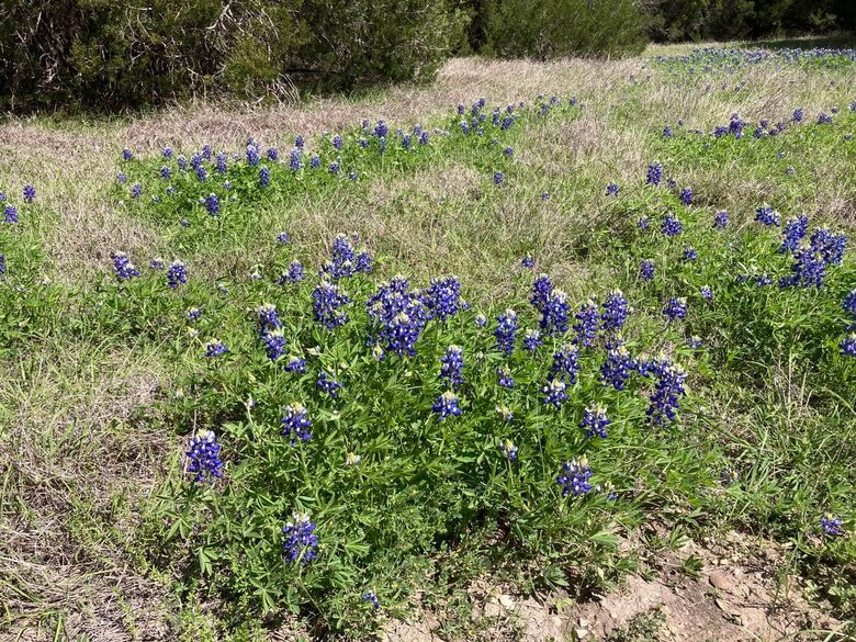 Secluded Texas Ranch Retreat with Panoramic Views - Goldthwaite, Texas