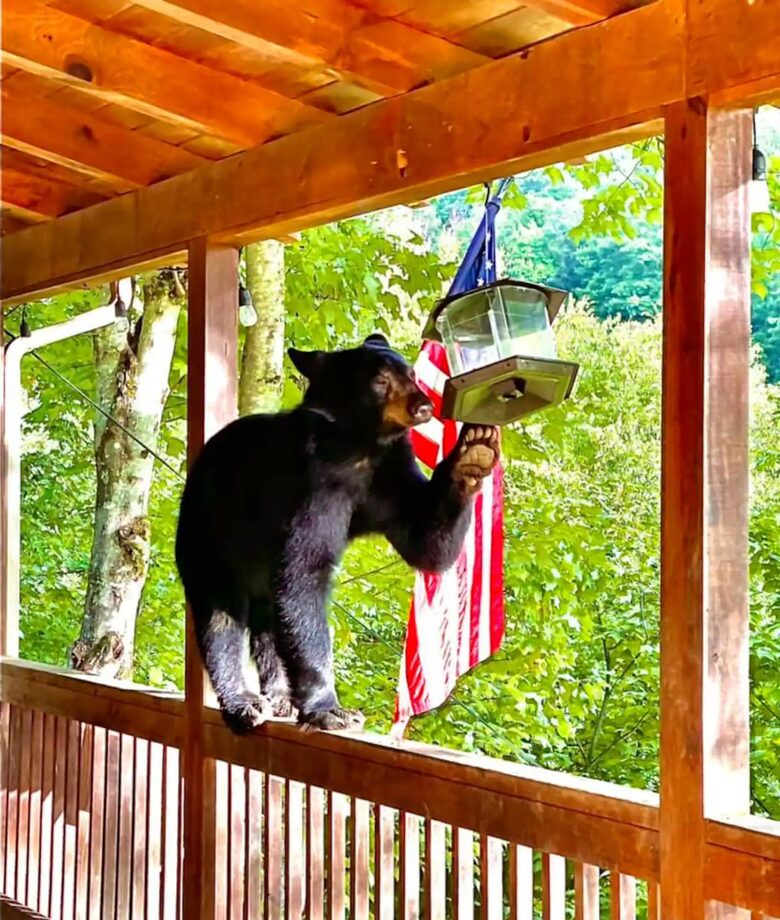 Blue Ridge Cabin with Panoramic Views & Wraparound Decks - Maggie Valley, North Carolina