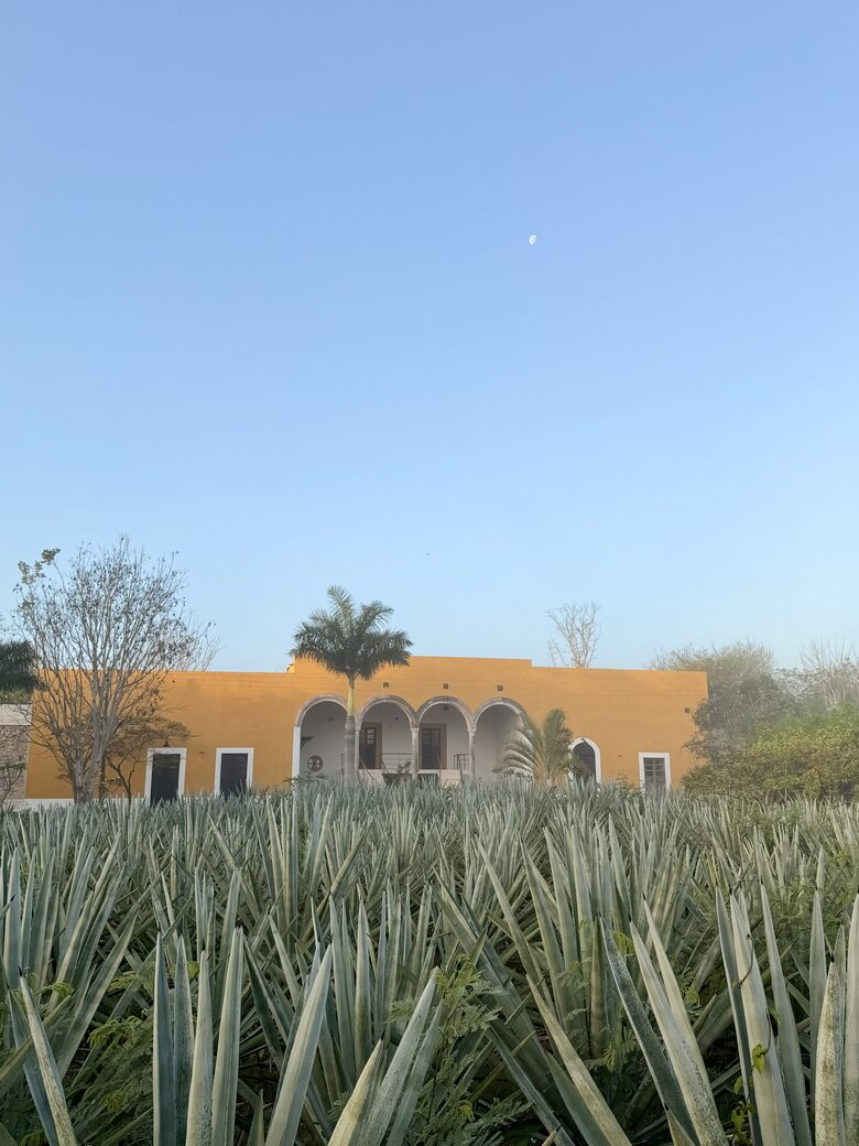 Timeless Hacienda Retreat in the Yucatán Countryside - Motul, Mexico