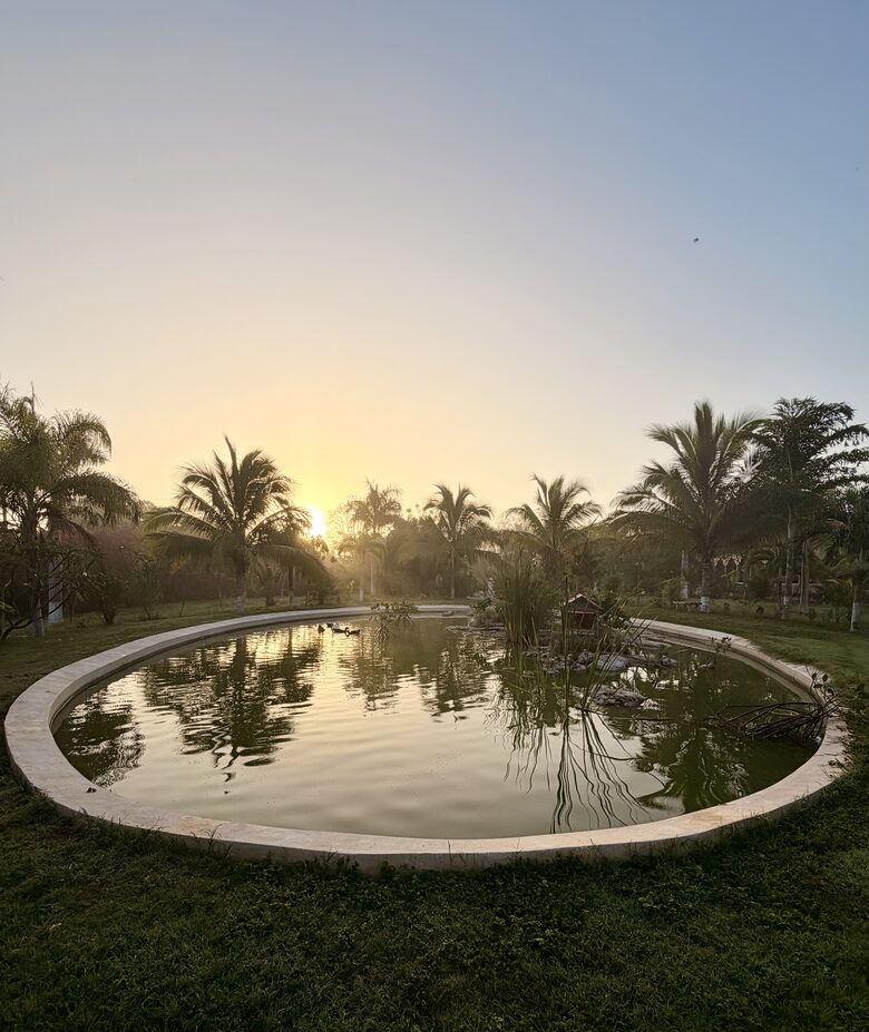 Timeless Hacienda Retreat in the Yucatán Countryside - Motul, Mexico